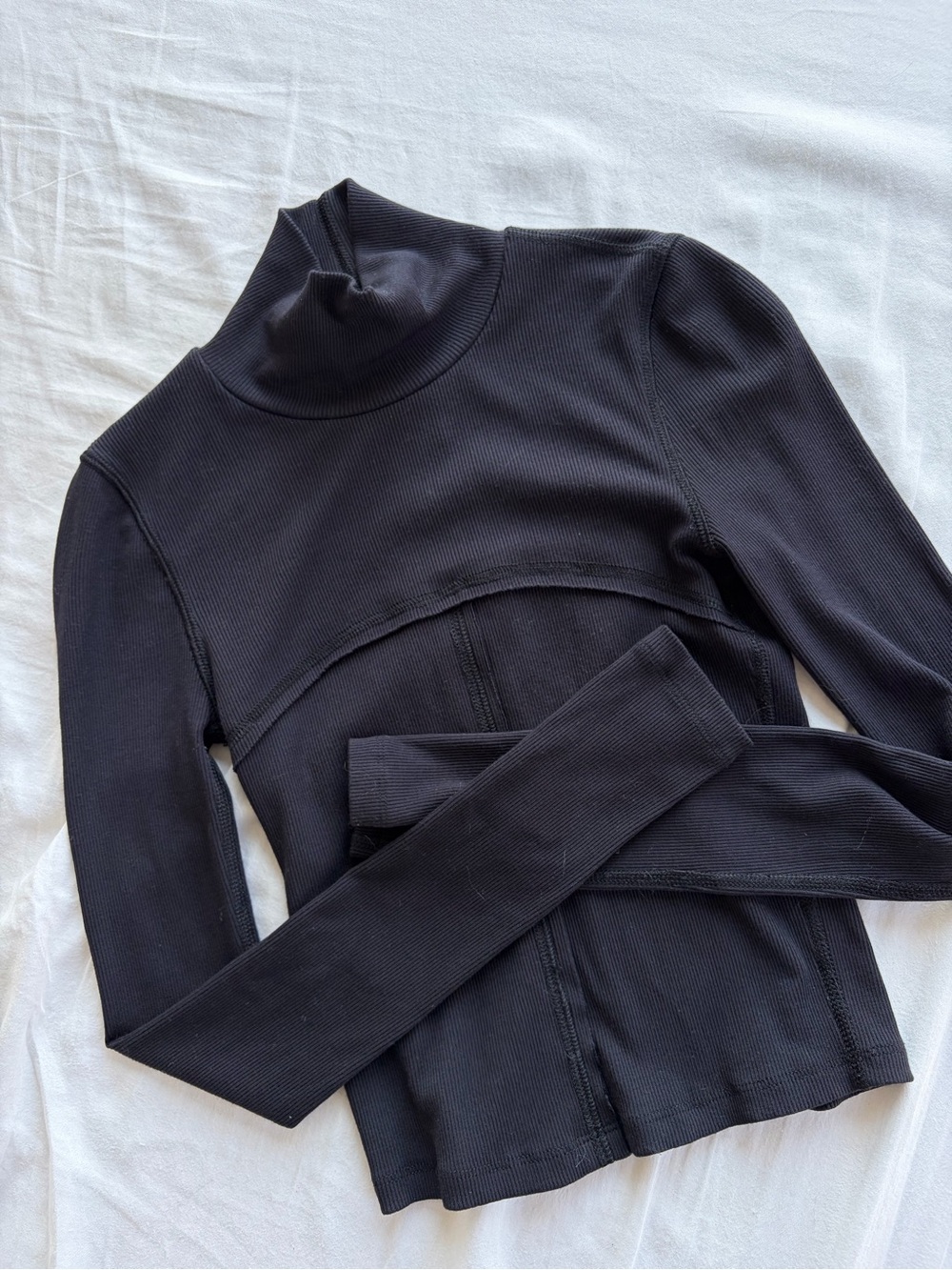Aritzia Wilfred Free Moon Turtleneck Longsleeve